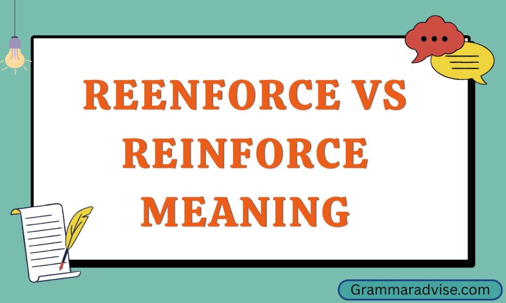 Reenforce vs Reinforce Meaning
