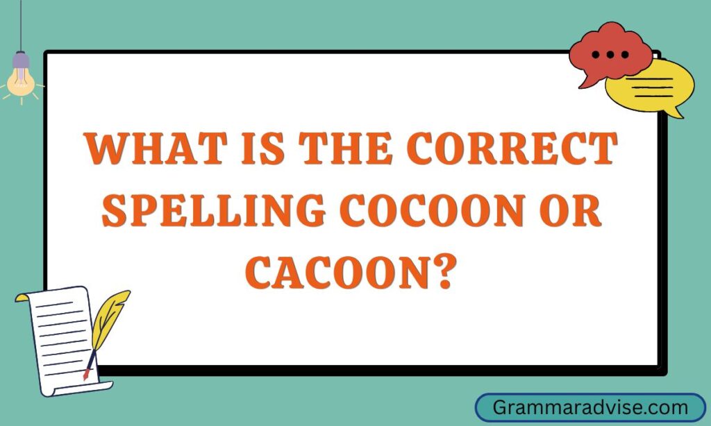 What Is the Correct Spelling Cocoon or Cacoon 