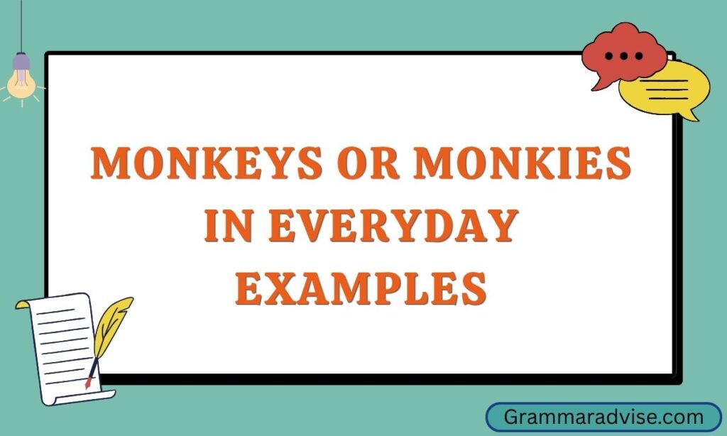 Monkeys or Monkies in Everyday Examples