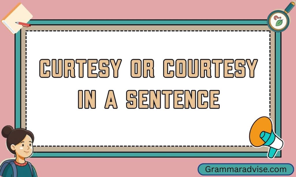 Curtesy or Courtesy in a Sentence
