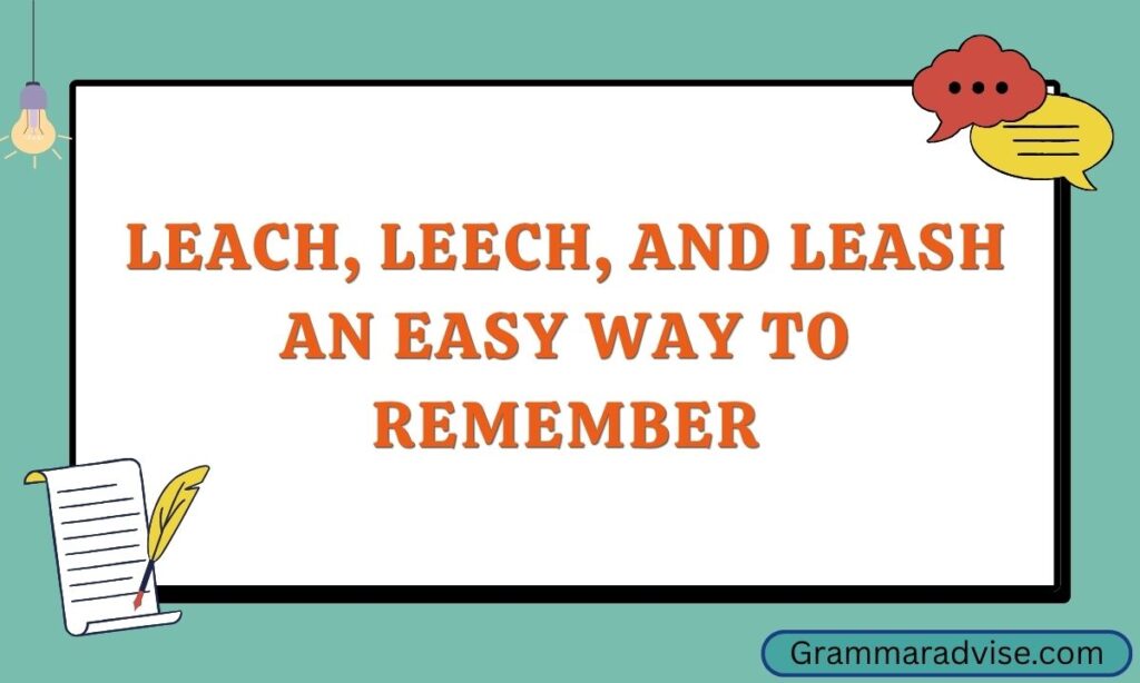 Leach, Leech, and Leash An Easy Way to Remember