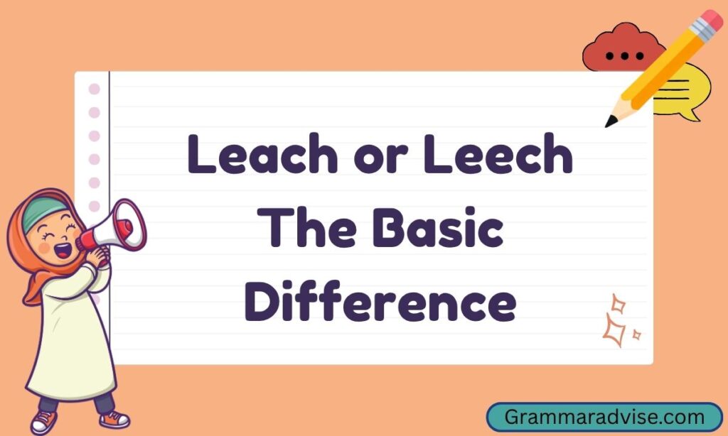 Leach or Leech The Basic Difference