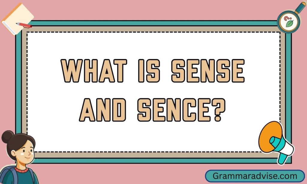What is Sense and Sence