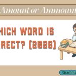 Amount or Ammount