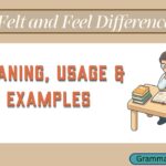 Felt and Feel Difference