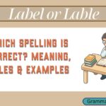 Label or Lable