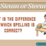 Steam or Steem