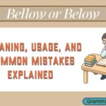 Bellow or Below