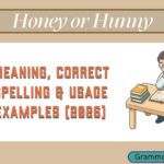Honey or Hunny