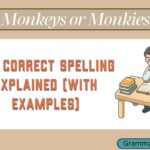 Monkeys or Monkies
