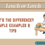 Leach or Leech