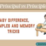 Principal vs Principle
